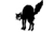 Il gatto